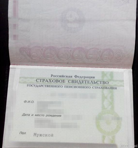прописка в Козловке